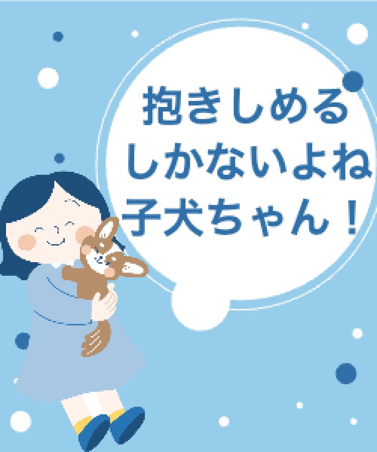 かわいい子犬がいっぱい！